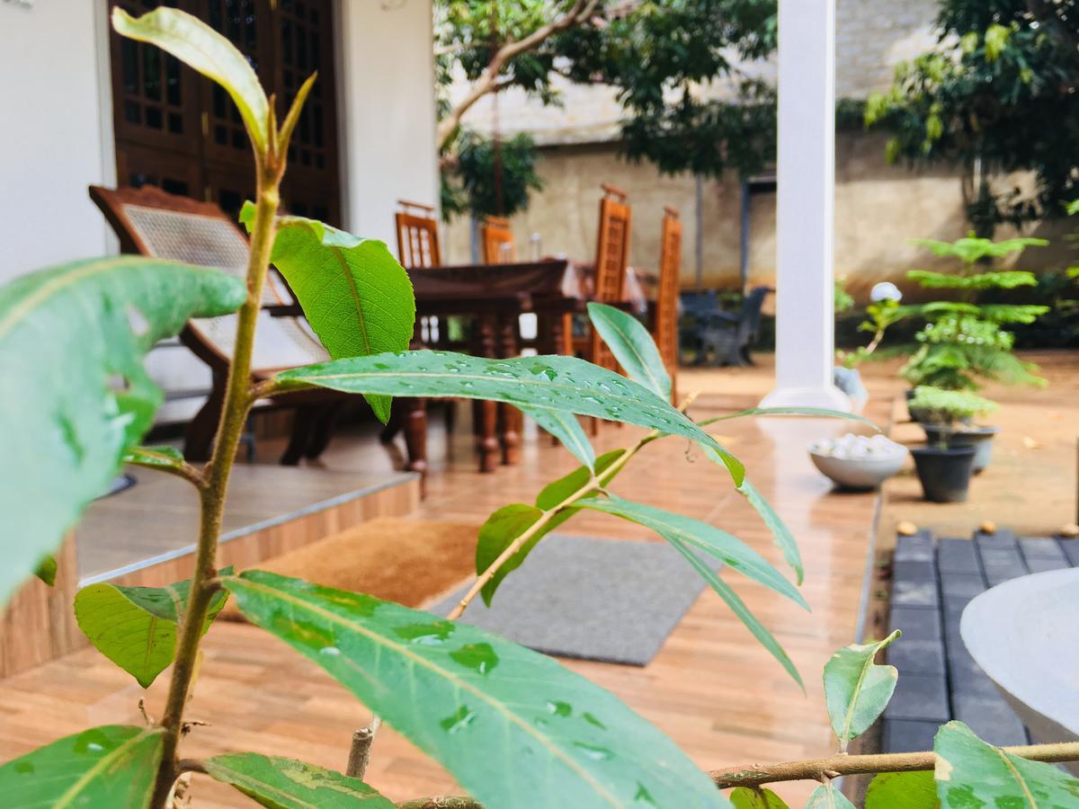 Perfect Hideout Hotel Dambulla Luaran gambar