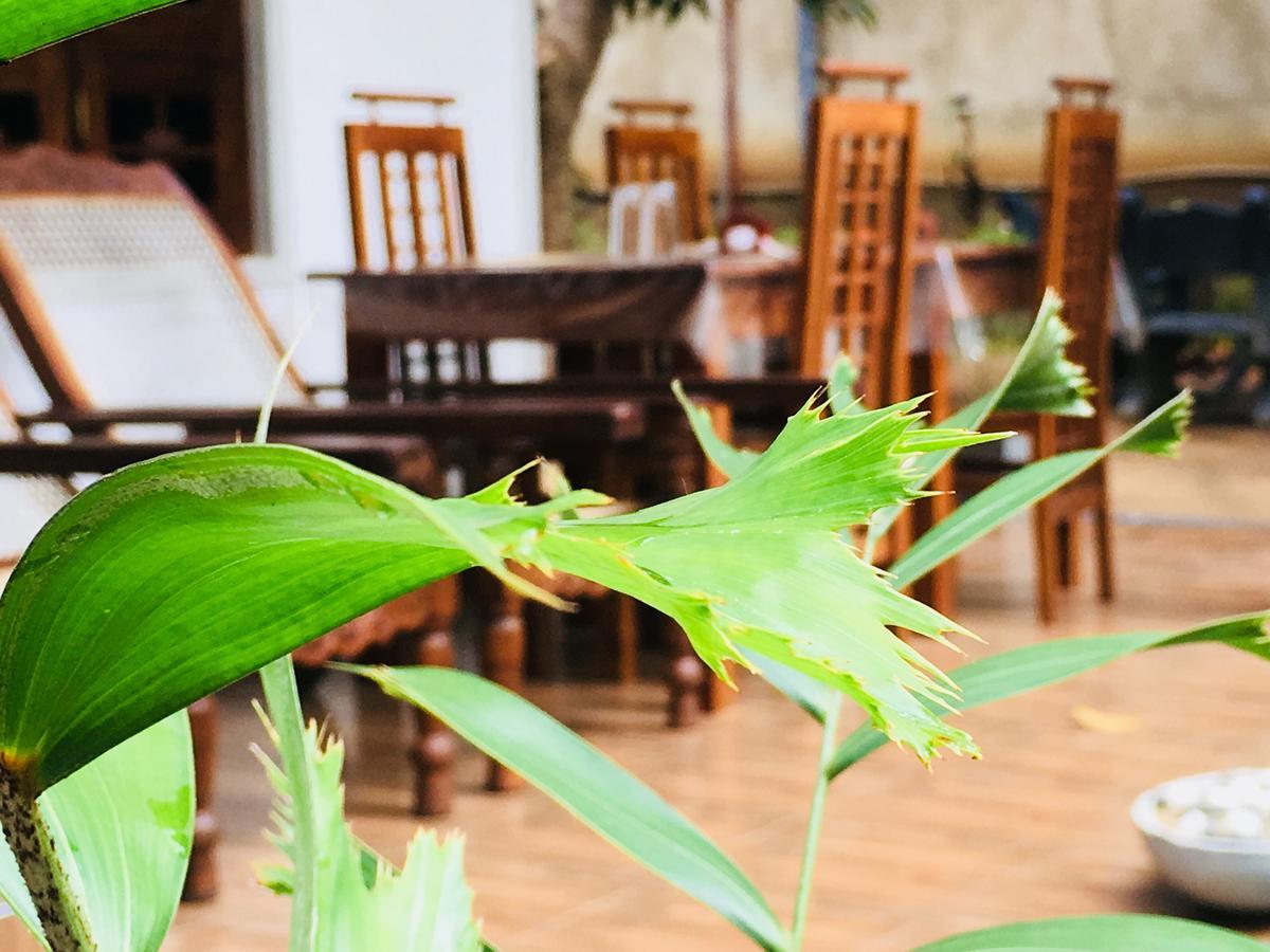 Perfect Hideout Hotel Dambulla Luaran gambar