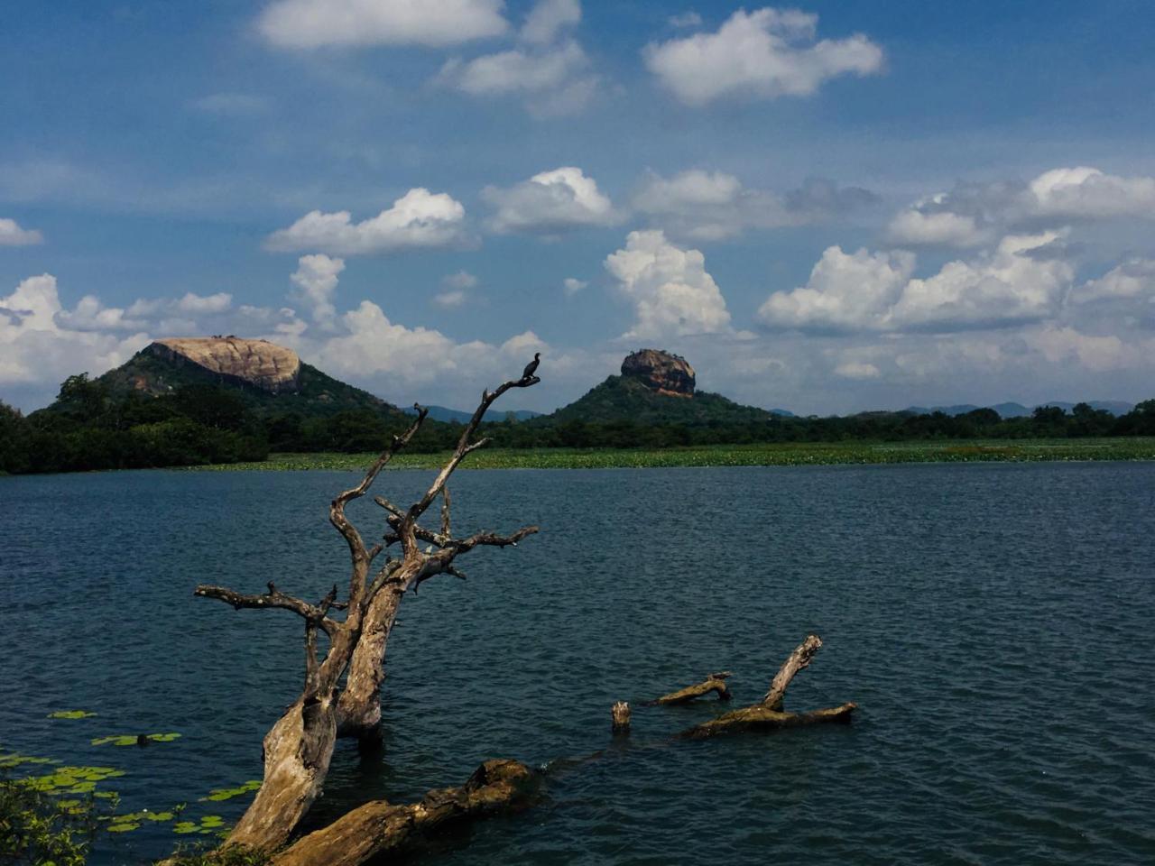Perfect Hideout Hotel Dambulla Luaran gambar